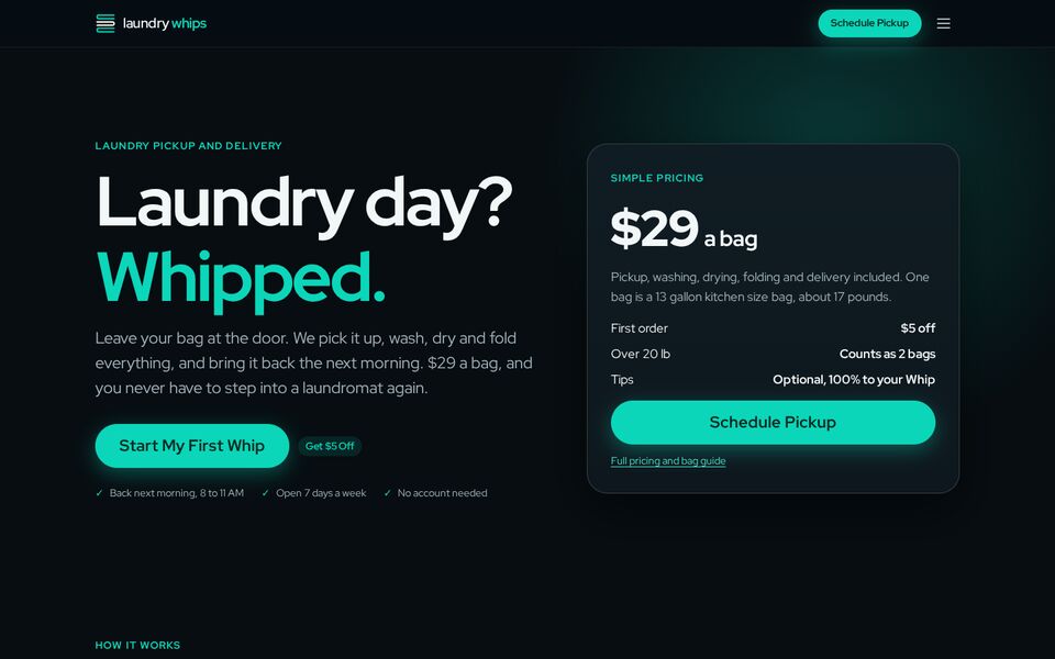 Home page of the Laundry Whips website on a desktop screen