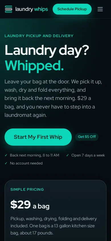 Home page of the Laundry Whips website on a phone